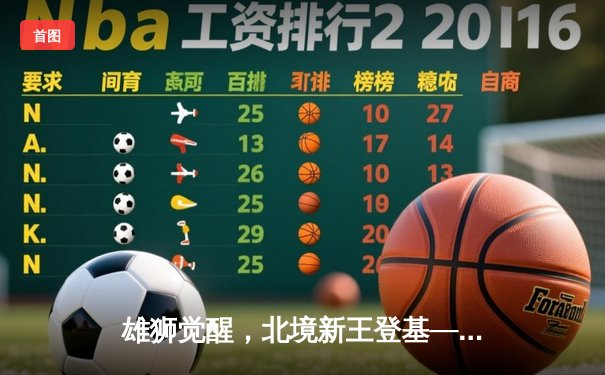 雄狮觉醒，北境新王登基——记NFL国联决赛底特律雄狮逆袭旧金山49人