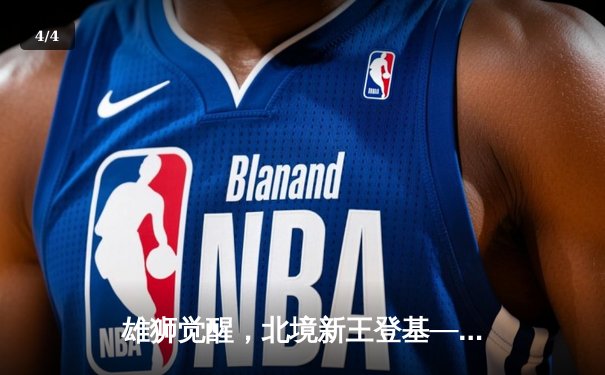 雄狮觉醒，北境新王登基——记NFL国联决赛底特律雄狮逆袭旧金山49人 - 4